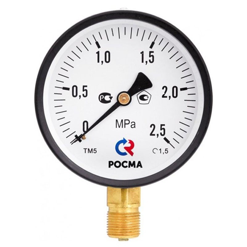 Манометр общетехнический Росма ТМ-510Р.00, до 0,6МПа M20x1,5, 100мм, радиальное присоединение, класс точности 1.0-1