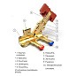 Клапан балансировочный STAD.BY-1-32, DN 32 PN 16 наклонный, латунный Kv 12,83 м3/ч с измерительными ниппелями, дренажный купить в Кемерово | "Проконсим"
