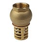 Клапан приёмный (донный)  MVI CV.630.06, DN 25 PN 16, латунный, пружинный, муфтовый купить в Кемерово | "Проконсим"