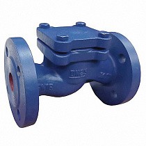 Клапаны обратные подъемные DN 15-200 PN 16 чугунные фланцевые до 250гр. АСТА ОК113 купить в Кемерово | "Проконсим"