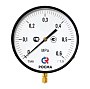 Манометр Росма ТМ-810Р.00 котловый, 250мм, 0-60кгс/см2, резьба M20x1,5, радиальный, класс точности 1,5 купить в Кемерово | "Проконсим"