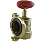 Клапан пожарный латунный КПАЛ DN 50 PN 16 угловой 90гр. муфта-соединительная головка Апогей купить в Кемерово | "Проконсим"