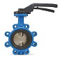 Затвор дисковый поворотный DN 250 PN 16 межфланцевый с резьбовыми проушинами диском из нержавеющей стали уплотнение-EPDM ручной FAF 3660250 купить в Кемерово | "Проконсим"