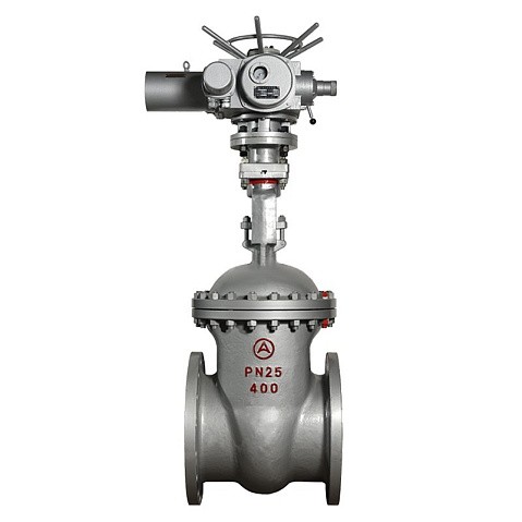 Задвижка стальная 30с964нж DN 600 PN 25 фланцевая под привод тип Г, класс ''А'' L=800мм САЗ АВАНГАРД купить в Кемерово | "Проконсим"