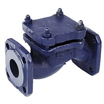 Клапаны обратные 16кч9нж подъёмные DN32-80 PN25 нержавеющая сталь фланцевые до 300гр. ЛУИДОР купить в Кемерово | "Проконсим"
