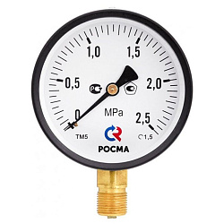  Манометр Росма ТМ-510Р 0,06 МПа /0,6ат 100мм G1/2'' (923200620) со склада Проконсим в Кемерово