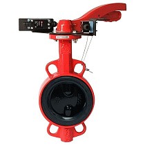 Затворы чугунные дисковые DN 50-250 PN 16 межфланцевые с концевиками и чугунным диском рычаг РАШВОРК купить в Кемерово | "Проконсим"