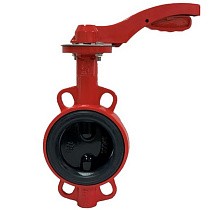 Затворы чугунные дисковые DN 50-100 PN 16 с электроприводом 24В и чугунным диском РАШВОРК купить в Кемерово | "Проконсим"