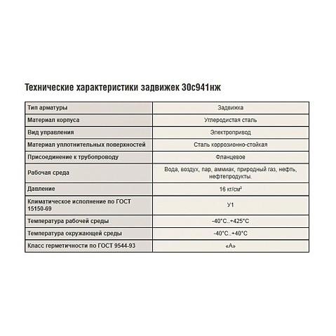 Задвижка стальная 30с941нж DN 800 PN 16 фланцевая под привод тип Г, класс ''А'' L=1000мм САЗ АВАНГАРД купить в Кемерово | "Проконсим"
