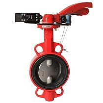 Затворы чугунные дисковые DN 50-250 PN 16 межфланцевые с концевиками диск из нержавеющей стали рычаг РАШВОРК купить в Кемерово | "Проконсим"