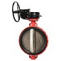 Затвор дисковый поворотный DN 600 PN 16 межфланцевый с диском из чугуна уплотнение-EPDM редуктор Рашворк 200 купить в Кемерово | "Проконсим"