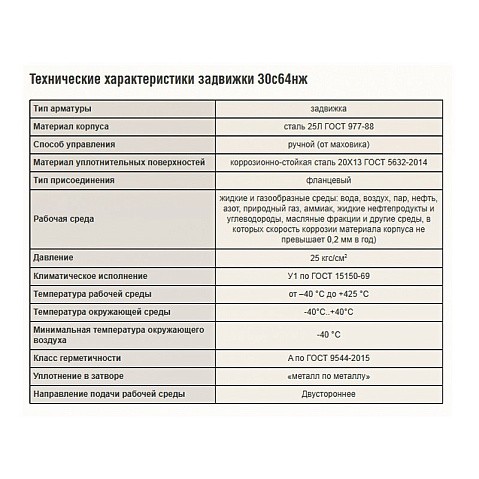 Задвижка стальная 30с64нж DN 250 PN 25 фланцевая L=450мм класс ''А'' САЗ АВАНГАРД купить в Кемерово | "Проконсим"